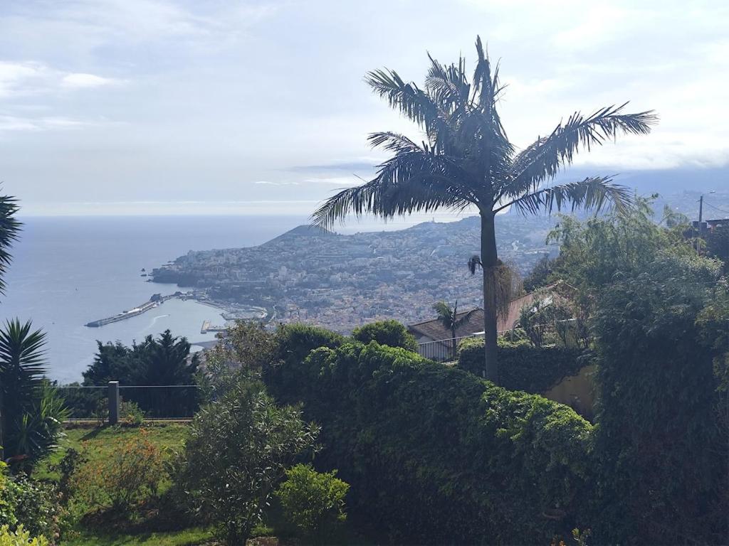 Ocean Views - Scenic Garden Getaway