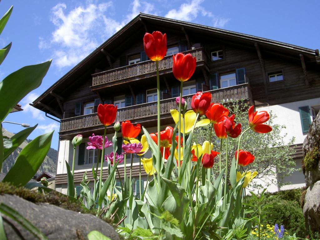 Zahrada ubytování Hotel Sternen