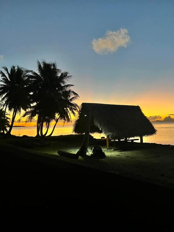 vanira sunset villa - photo 1 - Taha'a, Polynésie