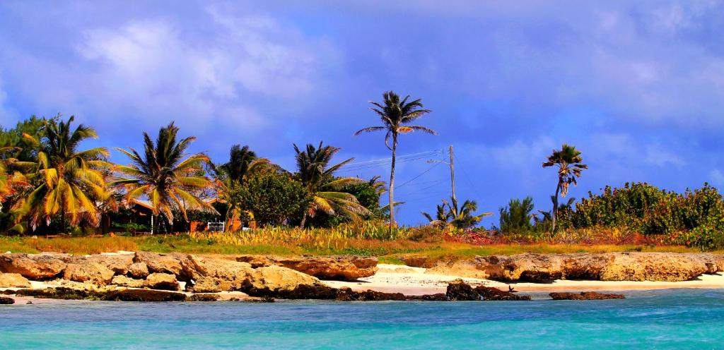 uma praia com palmeiras e a água azul em Seascape Beach House Surferspoint Barbados em Christ Church