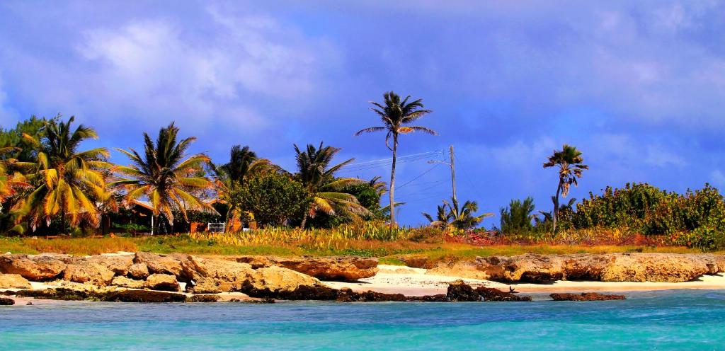 una playa con palmeras y agua azul en Seascape Beach House Surferspoint Barbados, en Christ Church