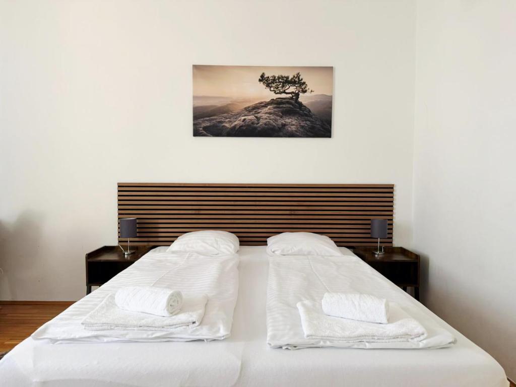 Assmayer City Roof Apartment Vienna