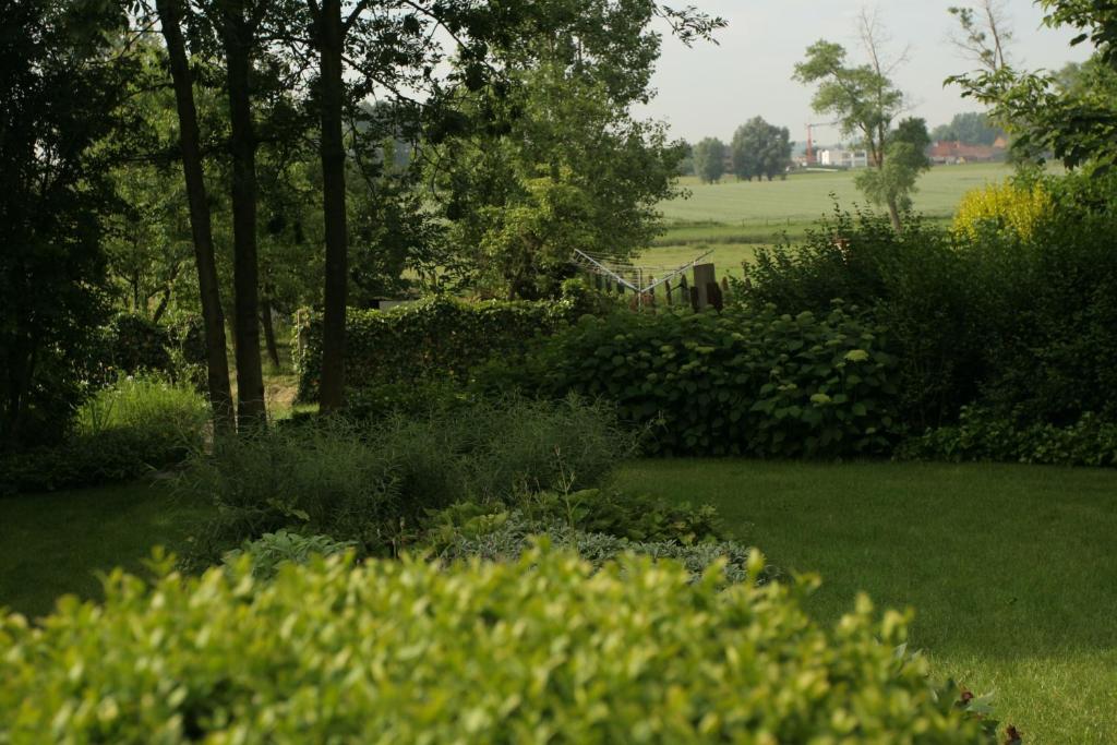 Zahrada ubytování B&B Goudsbloempje