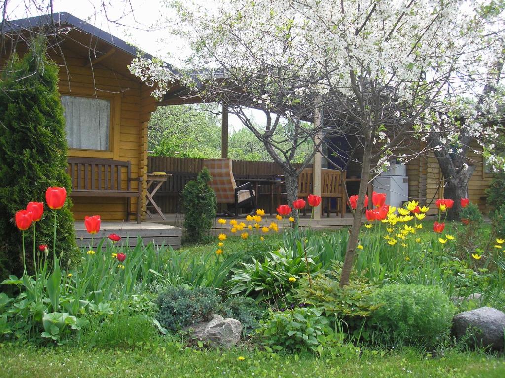 Aed väljaspool majutusasutust Kaare Guesthouse