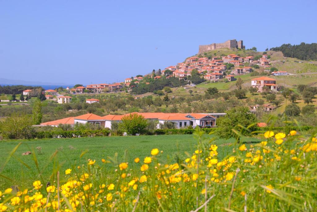 a field of yellow flowers with a town on a hill at Elea Houses in Mithymna