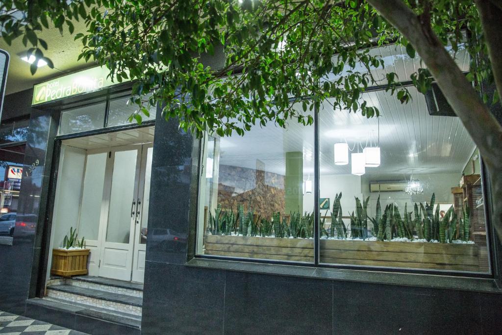  Hotel Pedra Bonita