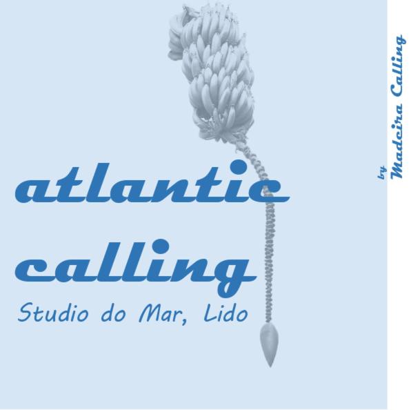 Atlantic Calling - first Line with stunning Sea View and private parking lot