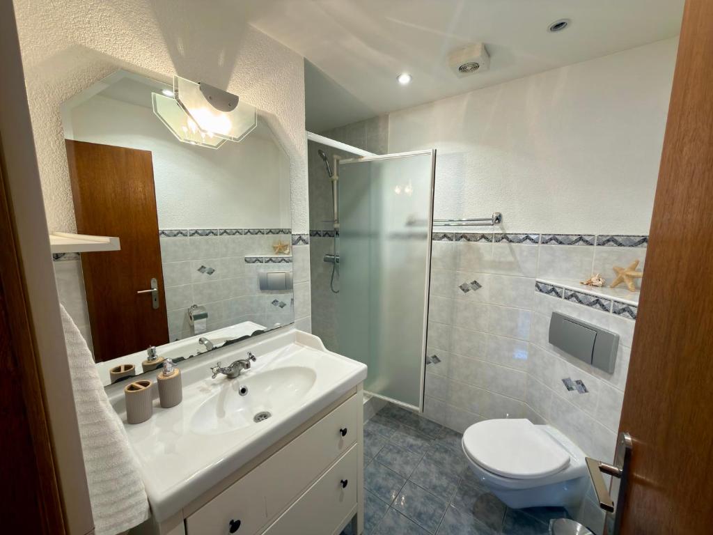 House with Sauna and Parking near Basel and EuroAirport – photo 26