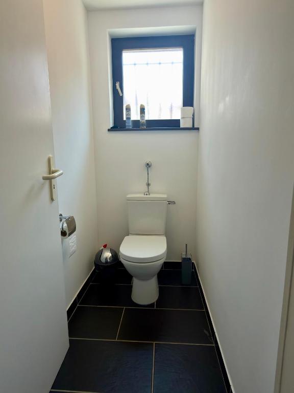 House with Sauna and Parking near Basel and EuroAirport – photo 37