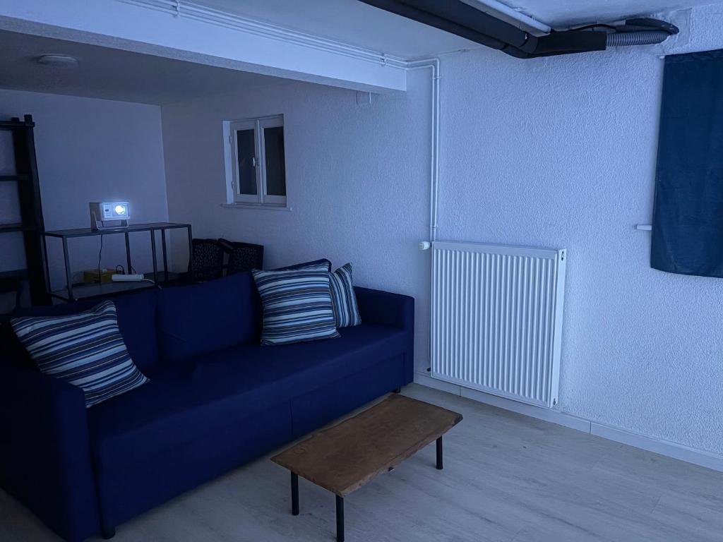 House with Sauna and Parking near Basel and EuroAirport – photo 41
