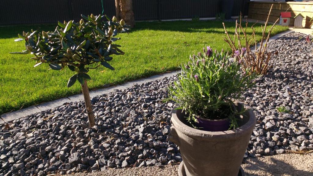 Appartement Colmar Centre Le 4 - 14