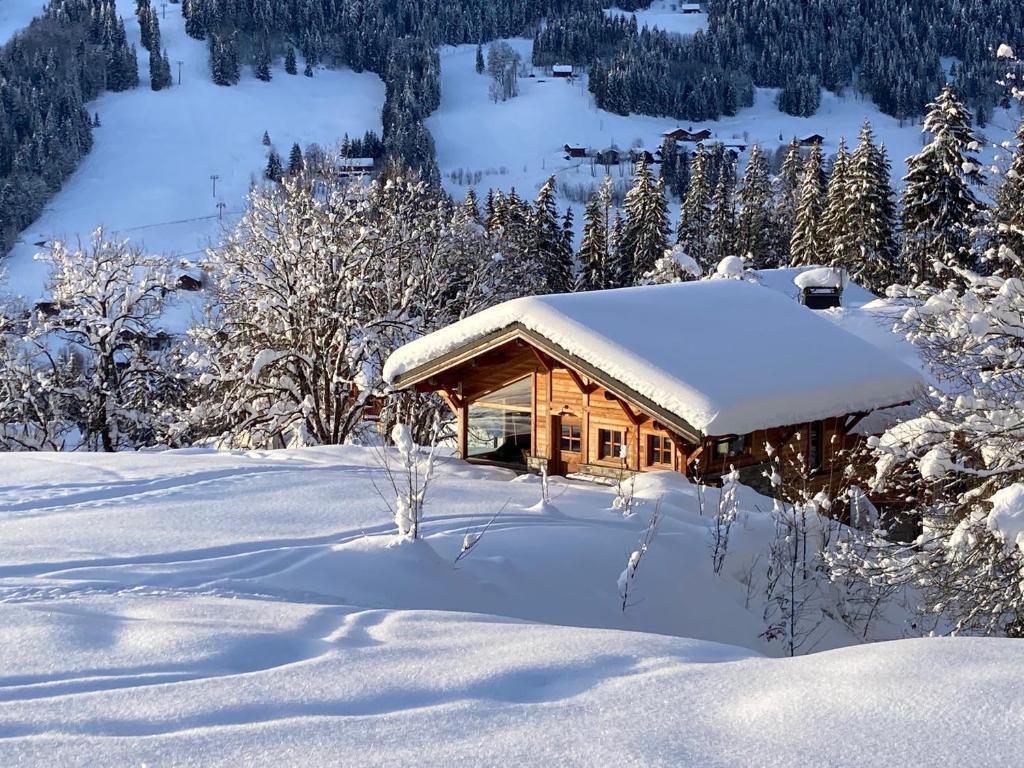 Chalet Alpavi - Les Gets - ski in out