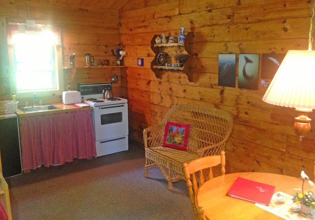 Kuchyň nebo kuchyňský kout v ubytování Vipilodge