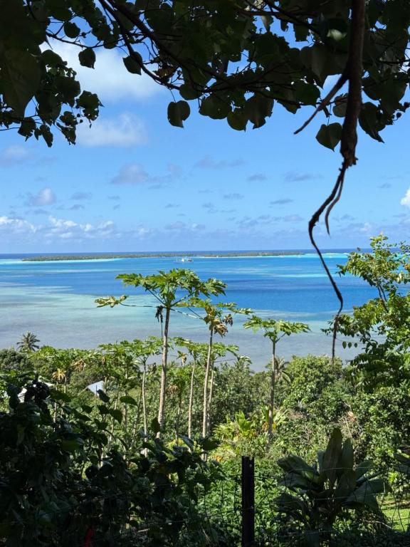 Tuaera Lodge, Te-Fare-Arii - photo 3 - Maupiti, Polynésie