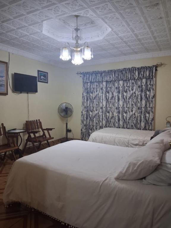 Alexander b&b - Housity