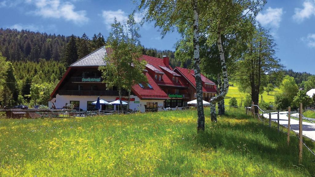 un grand bâtiment avec un toit rouge dans un champ dans l'établissement Pension Mühlencafé, à Breitnau