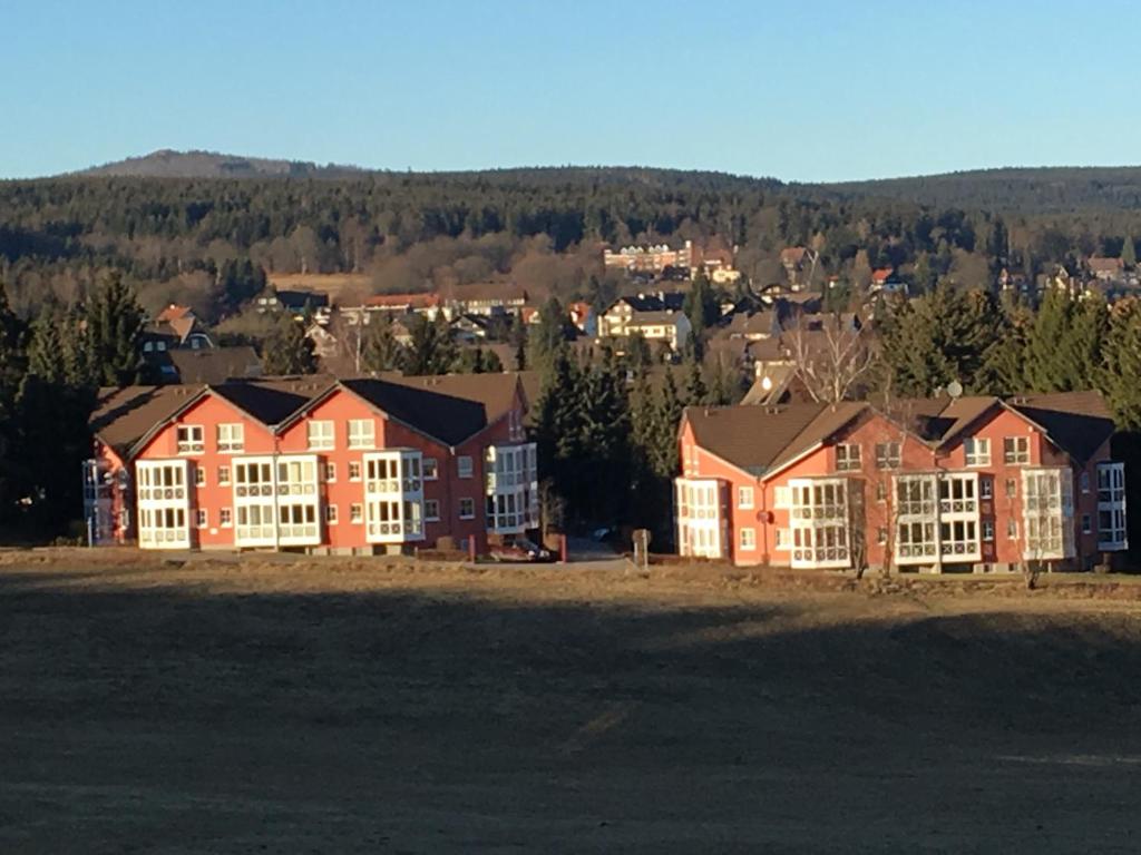 un grupo de casas en una ciudad con árboles en Apartment Gosch an der Skiwiese, en Braunlage