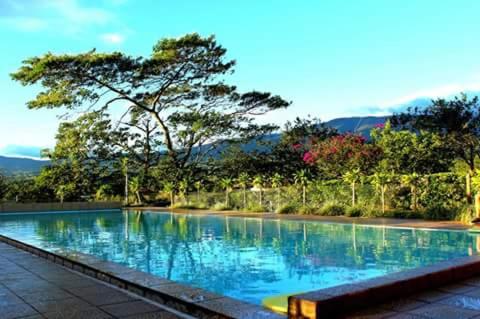 una piscina con agua azul y árboles en el fondo en Cabinas Lindo Horizonte, en San Pedro