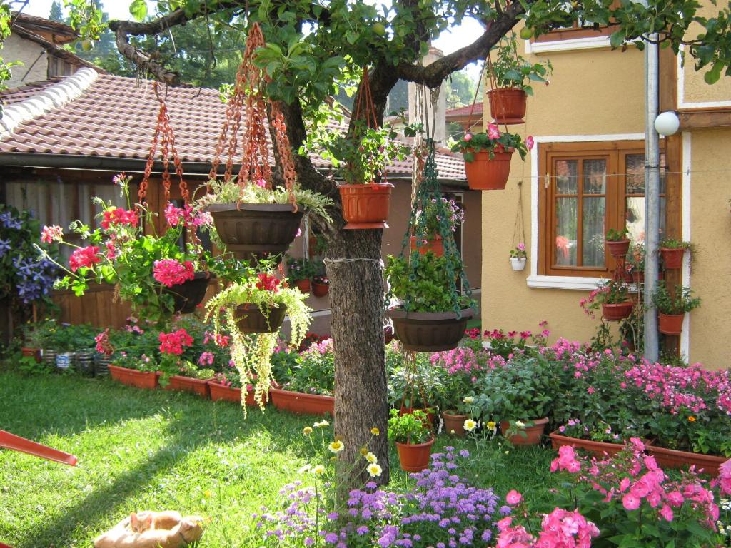 Zahrada ubytování Guest House Bashtina Striaha