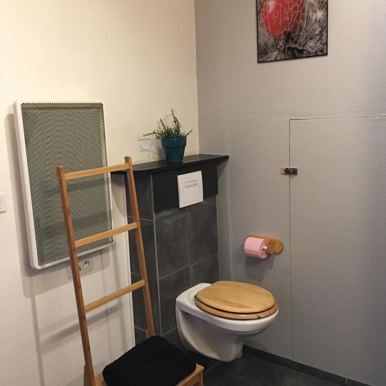 Appartement Colmar Petite Venise – photo 15