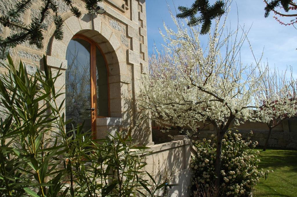 Zahrada ubytování Casa Rural Reposo de Afanes
