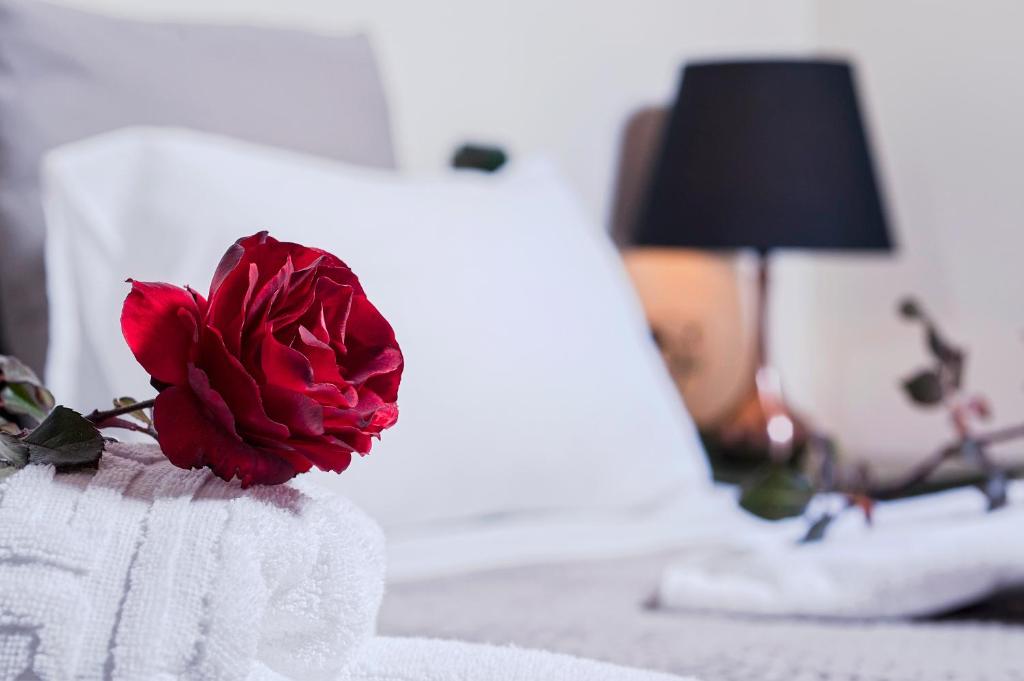 Łóżko lub łóżka w pokoju w obiekcie Kyriaki's Cozy Apartments