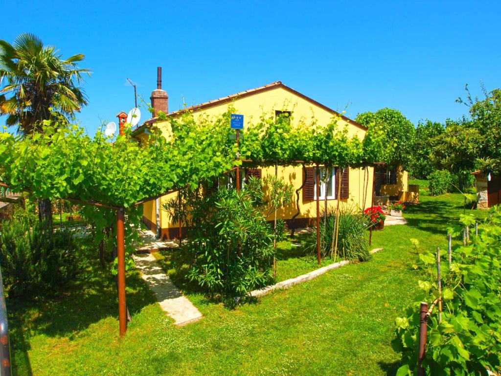 Apartment near Beach Fazana-Fazana (Region) 42492