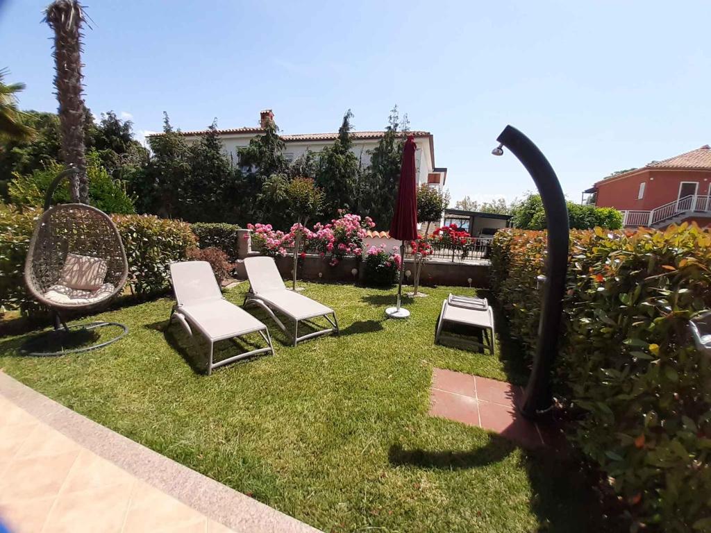 Apartment Beachfront in Novigrad-Istrien 44244