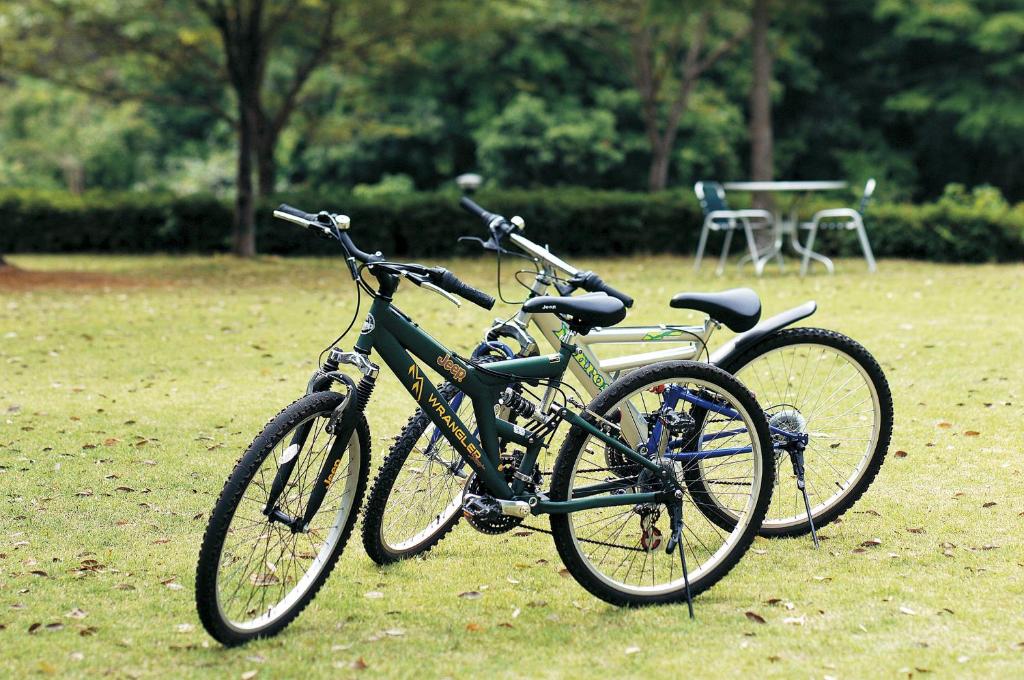 Jízda na kole v ubytování Watarase Onsen Hotel Sasayuri nebo okolí