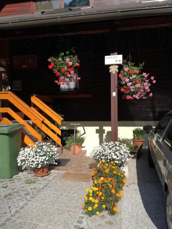 Kranjska Gora şehrindeki Apartment Stefka tesisine ait fotoğraf galerisinden bir görsel