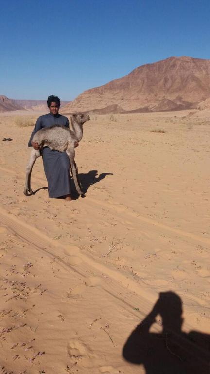 Wadi Rum Sky Tours & Camp - Standard Triple Room