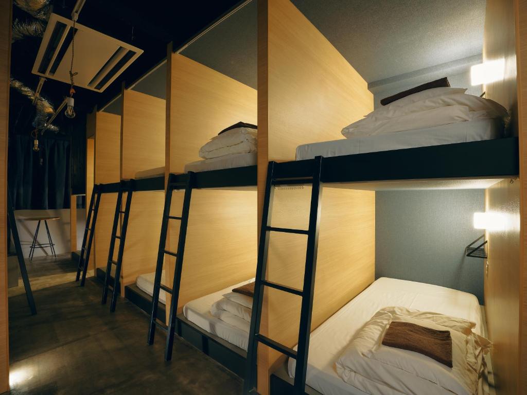 obi hostel 10月リニューアルオープン