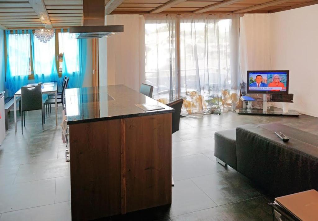 TV a/nebo společenská místnost v ubytování Switzerland Iseltwald Apartment