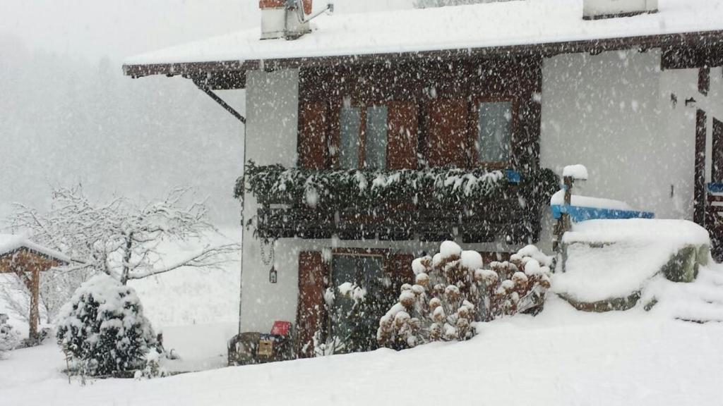 Fotografia z galérie ubytovania Chalet Monica v destinácii Molina di Ledro