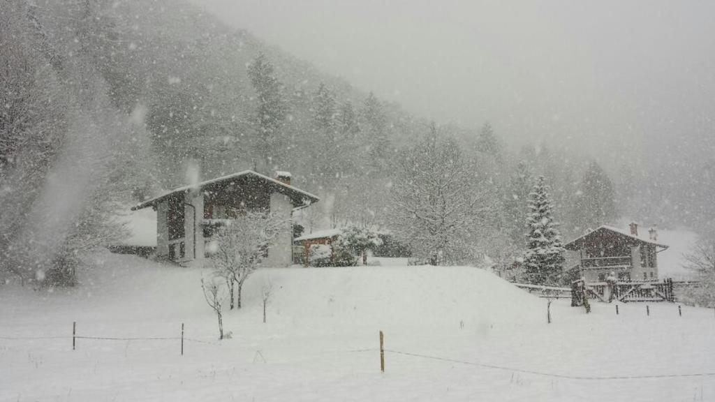 Fotografia z galérie ubytovania Chalet Monica v destinácii Molina di Ledro