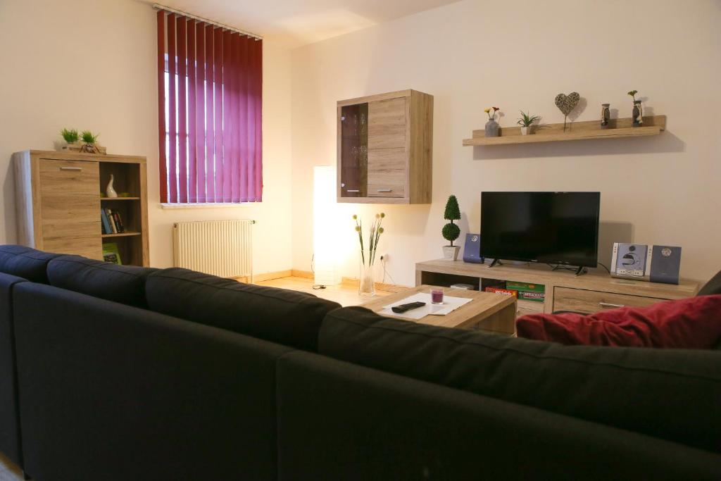 sala de estar con sofá y TV en Apartment Nepomuk, en Kirchberg an der Pielach