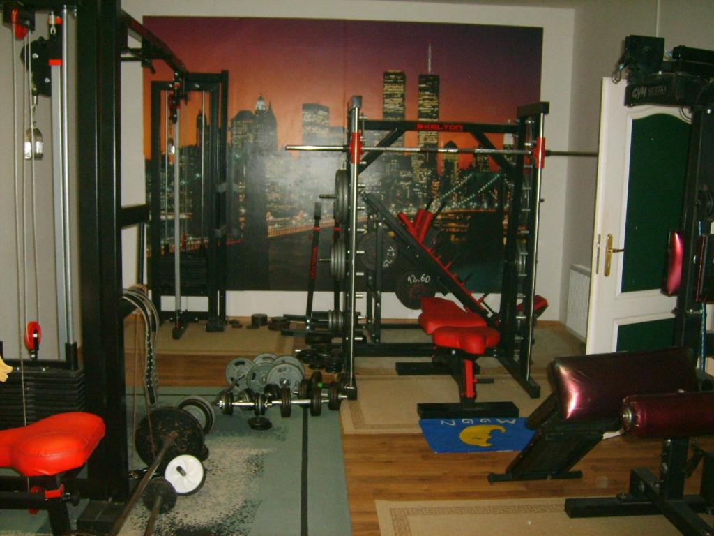 uma sala de fitness com um ginásio com máquinas em Pensjonat BorowaDolina em Osie