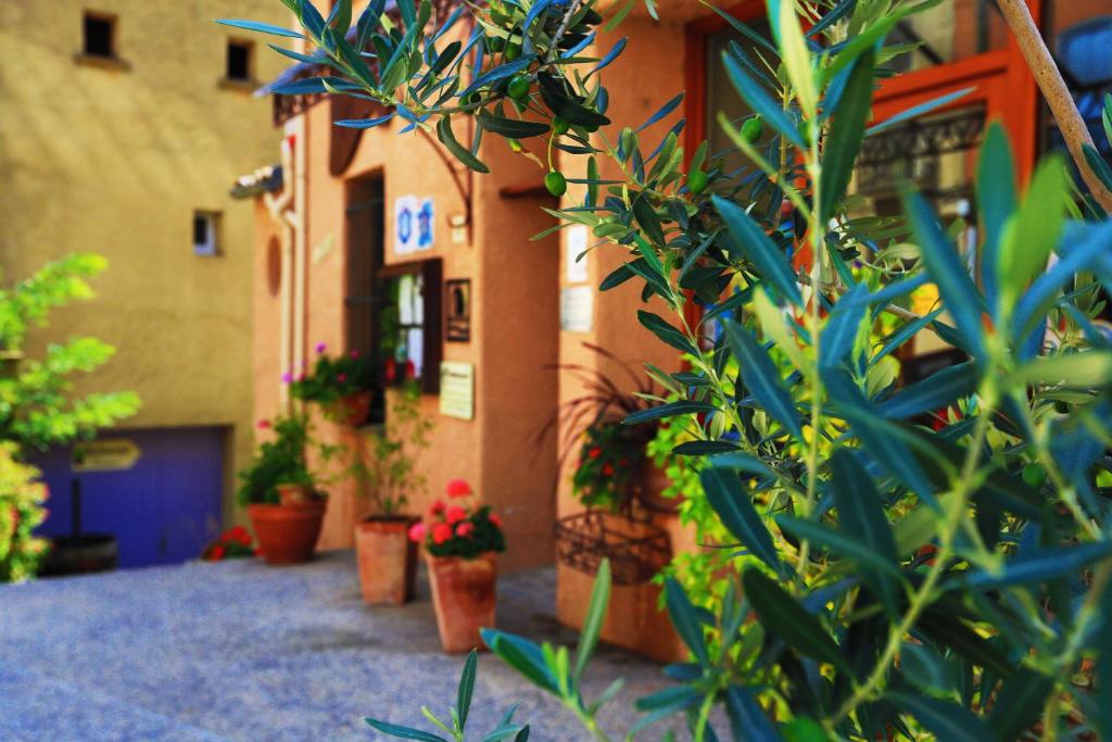 Une bande de plantes en pot devant un bâtiment dans l'établissement Logis auberge restaurant Du Vigneron, à Cucugnan