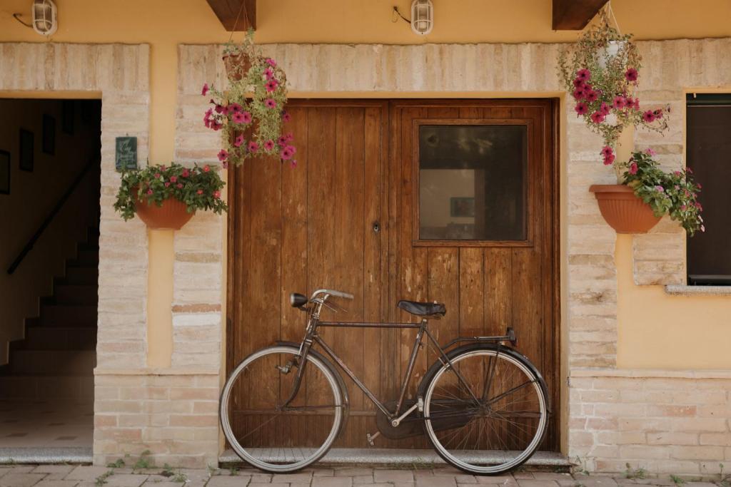 Jízda na kole v ubytování B&B Rosa Dalfonsina nebo okolí