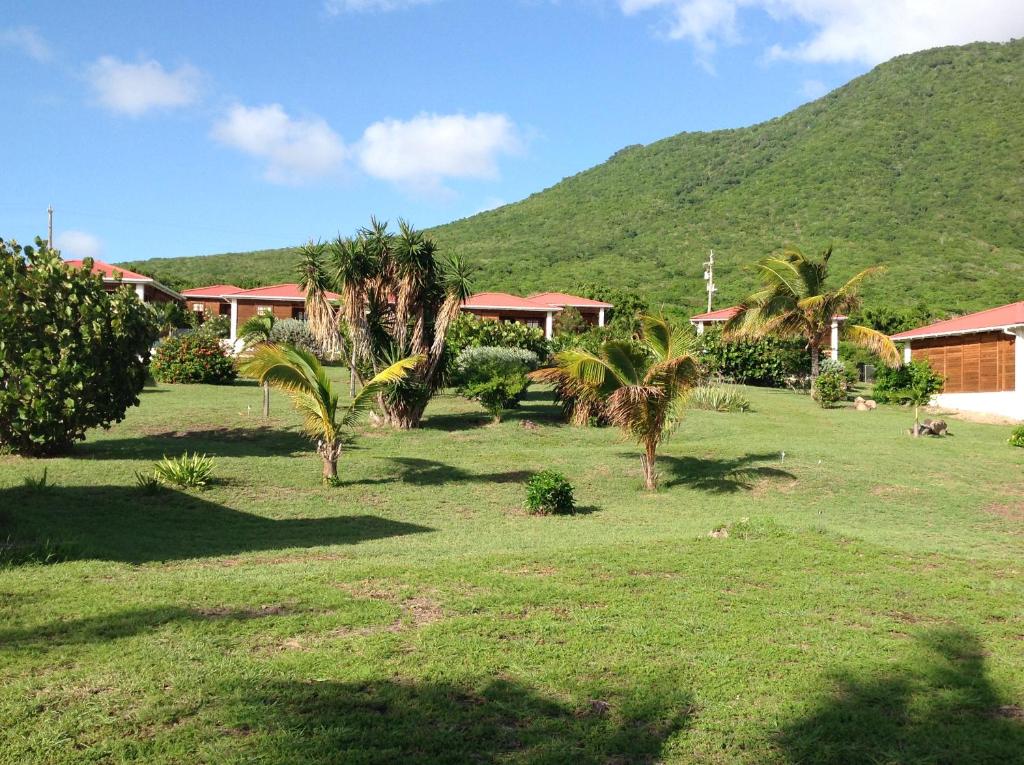 a field with palm trees in front of a mountain at Statia Lodge in Oranjestad