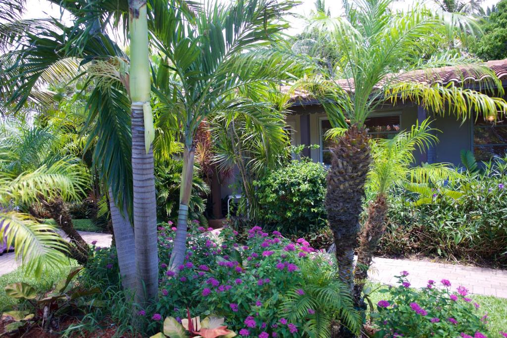 Zahrada ubytování Royal Flamingo Villas