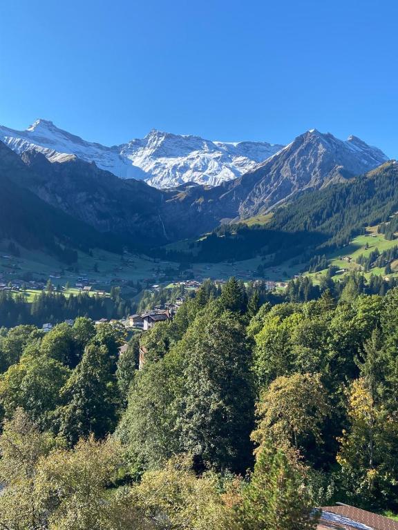 Adelboden Penthouse, Adelboden (updated prices 2027)