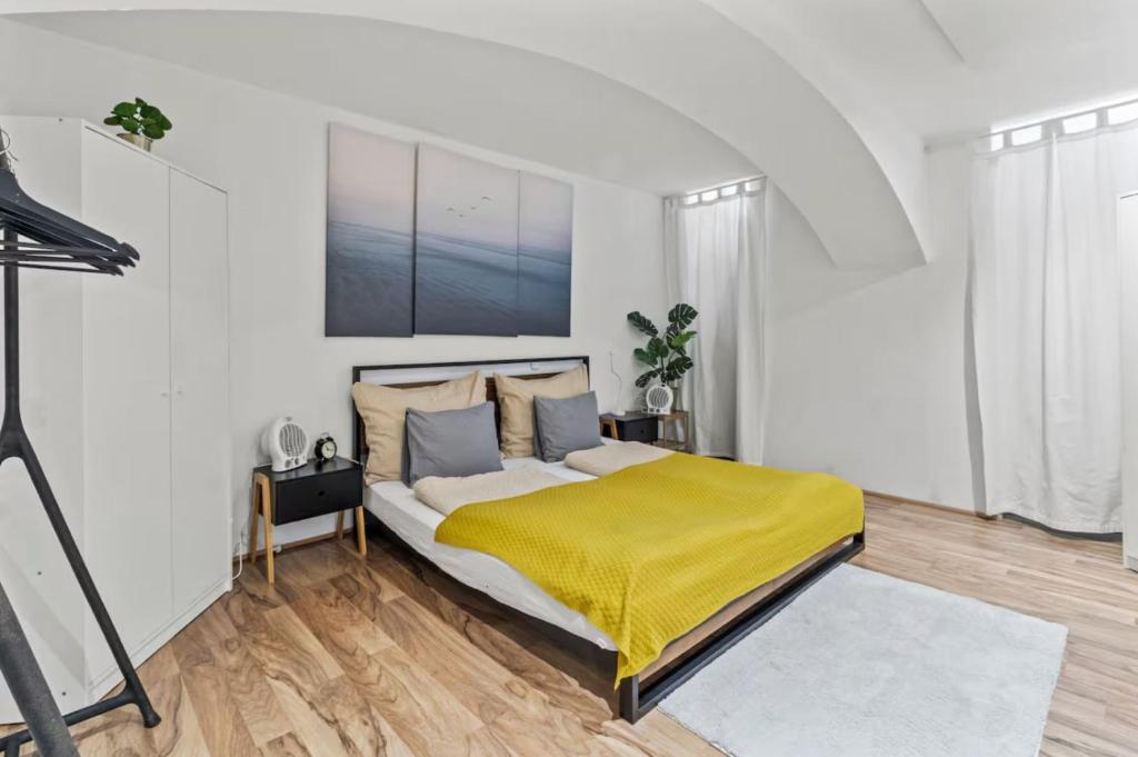 Central Spacious Basement Apartment