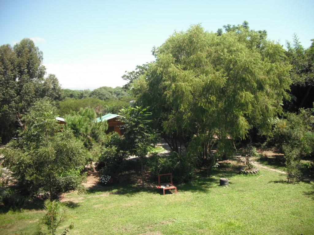 un parque con un banco bajo un árbol en Cabañas El Paraiso en San Salvador de Jujuy