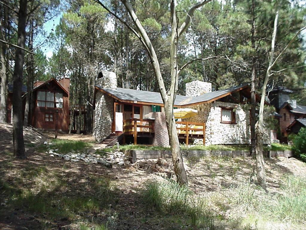 a house in the middle of a forest at Cabañas El Ocio in Mar de las Pampas
