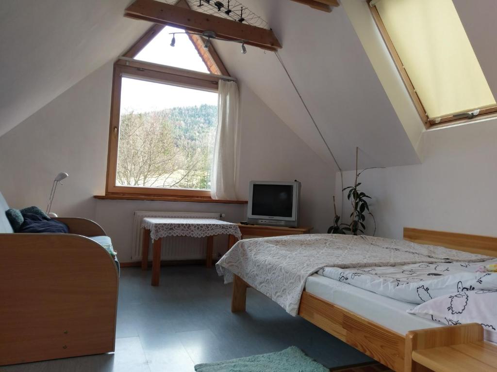 een slaapkamer met een bed en een raam bij Apartamencik z Widokiem Na Giewont in Zakopane