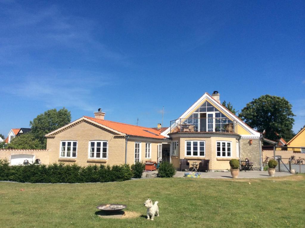 un gatto seduto sull'erba di fronte a una casa di Langø Overnatning a Langø