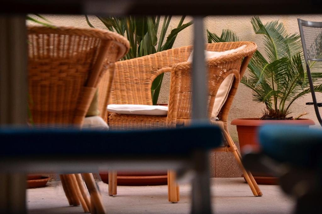 two wicker chairs sitting in a room with plants at il lapino in Palermo