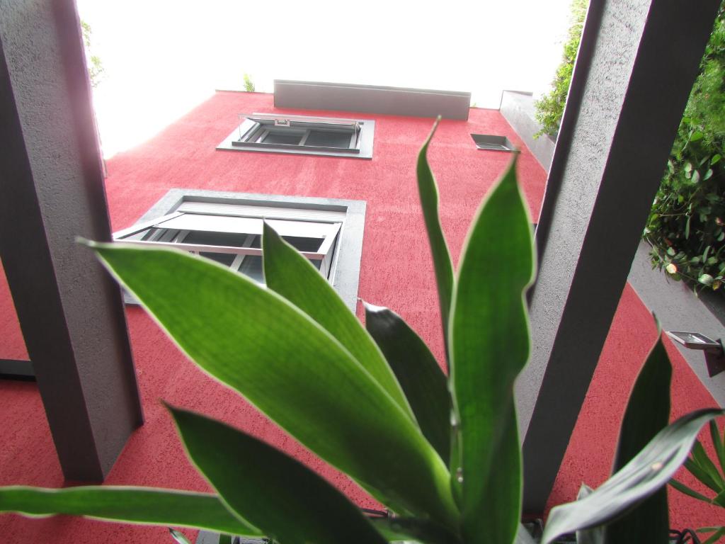  GUEST HOUSE BALDÔ Catete