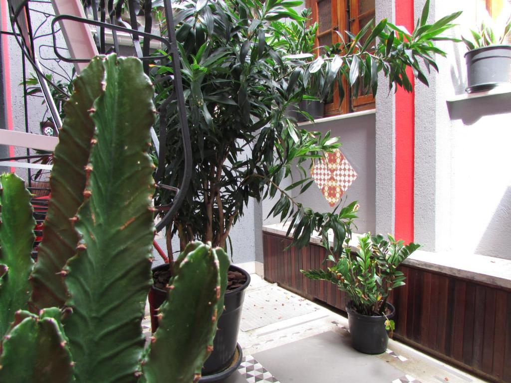  GUEST HOUSE BALDÔ Catete